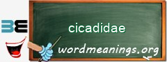 WordMeaning blackboard for cicadidae